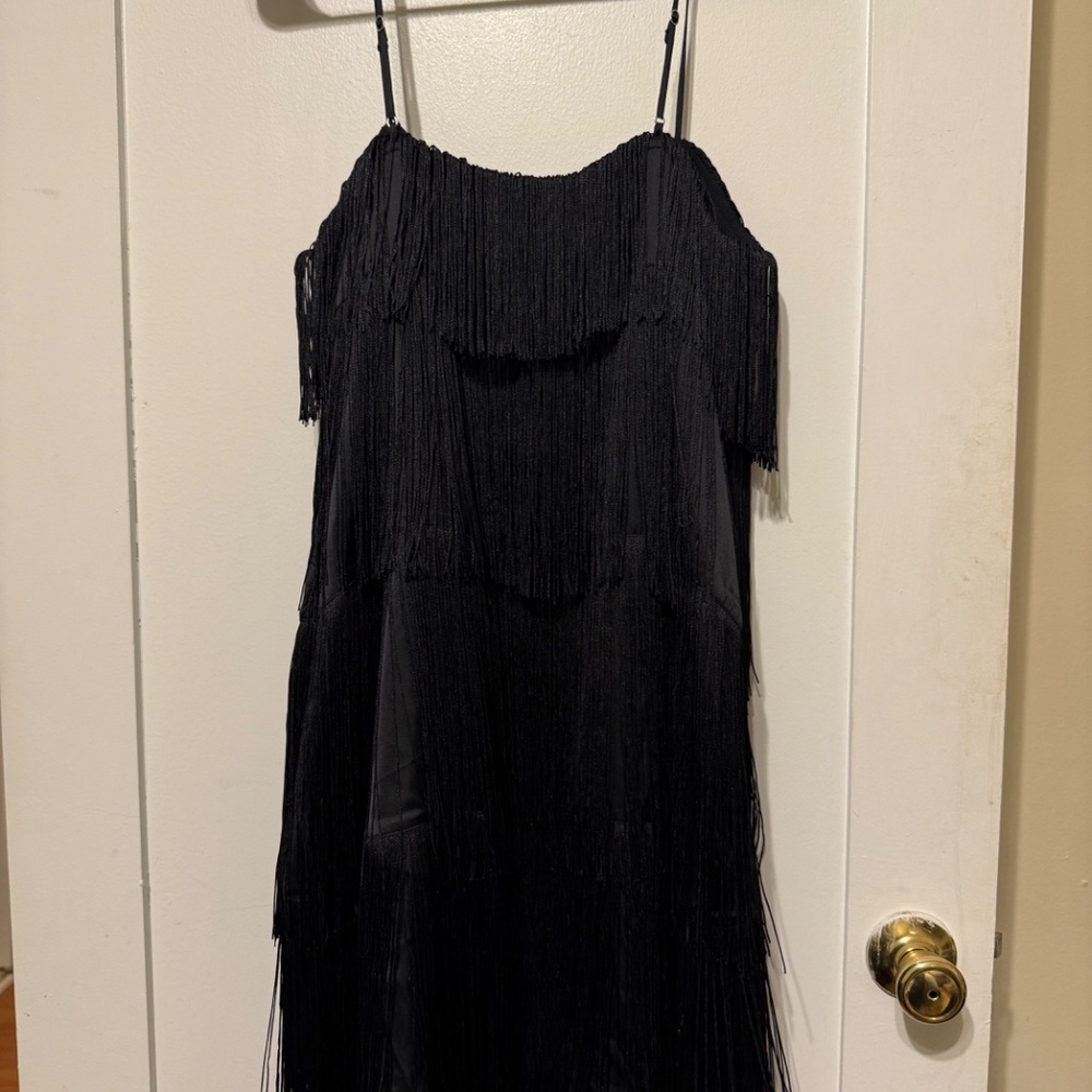 Abercrombie & Fitch Fringe Dress - Picture 2 of 3